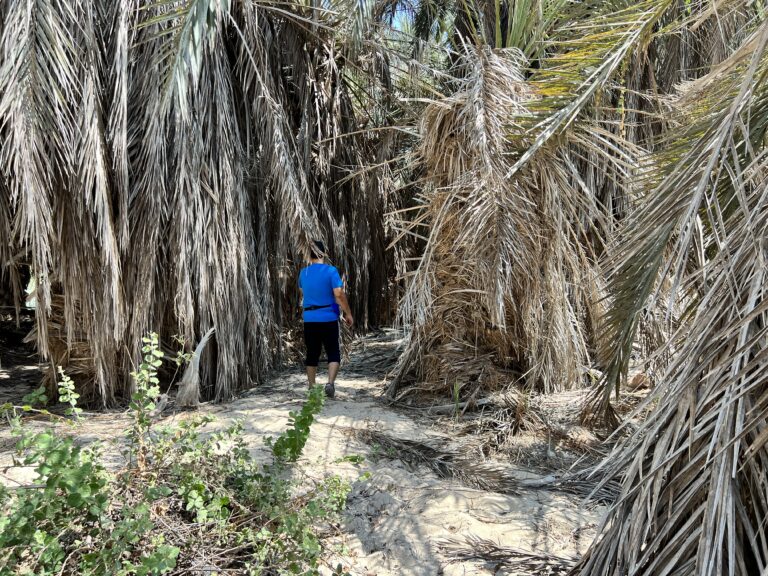 Wadi Nakheel Oman
