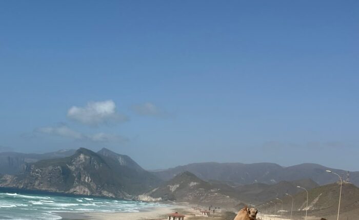 Mughsail Beach Salalah