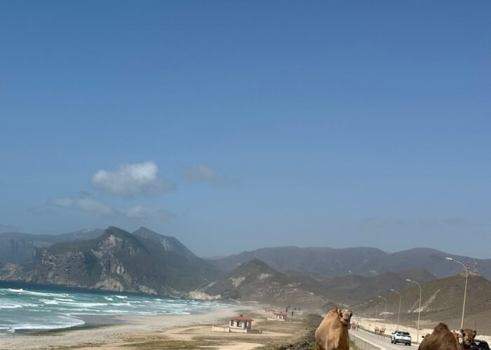 Mughsail Beach Salalah