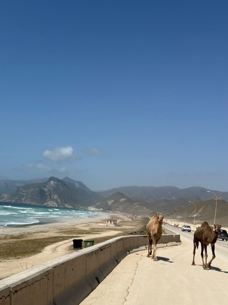 Mughsail Beach Salalah